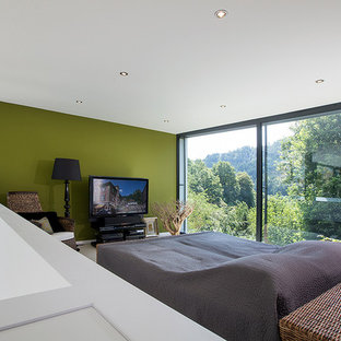 Trendy home theater photo in Other