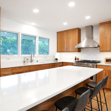 Project 3680-1 Minneapolis Scandinavia Modern Whole House Renovation