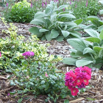 Garden Management