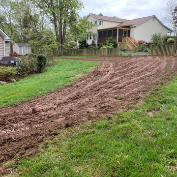 Lawn renovation