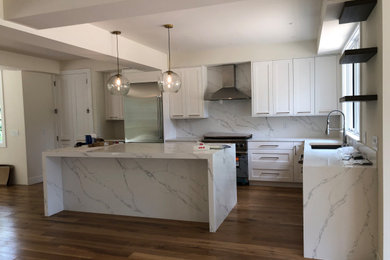 Kitchen - contemporary kitchen idea in Miami