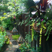 garden paths