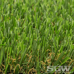 Tiger Pet Turf - Products