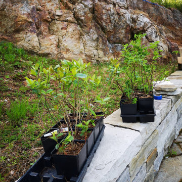 Woods Wildscaping