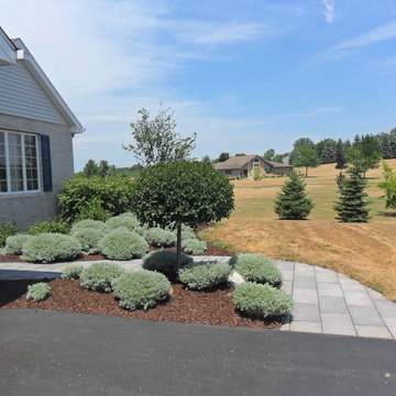 Bollinger Residence