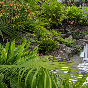 Hawaiian Landscape