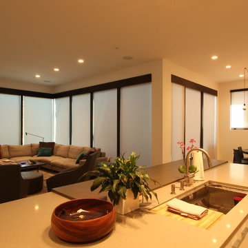 Chicago Bucktown Modern Masterpiece