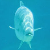 Jon Mellor's photo