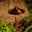Outdoor Lighting Perspectives of Nashville