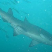 William Lauzon's photo