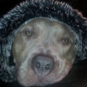 Steph Winstanley's photo