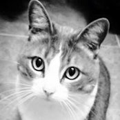 Brittany Payne's photo