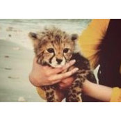 Ala'a Al Rasheed's photo