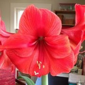 Jane R. McKinney's photo