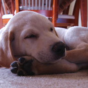 Denise Matheson's photo