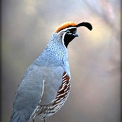 Foto von Piedad Hogan