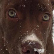 Darlene Foley's photo