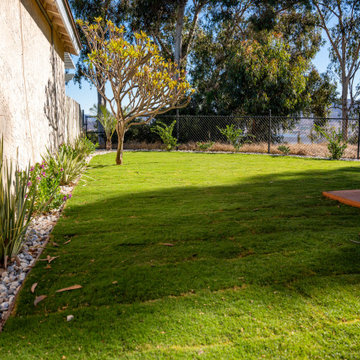 Backyard Sod & Landscape Refresh
