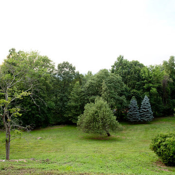 My Houzz: Midcentury Garden Tour