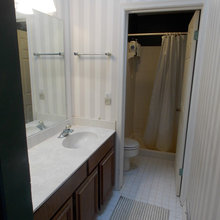 Master Bathroom Project
