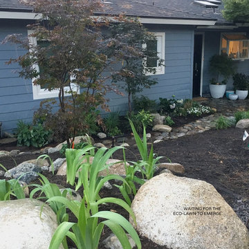 Altadena Foothills - A Diamond in a Rough