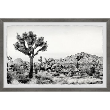 "Joshua Tree National Park" Framed Painting Print, 18"x12"