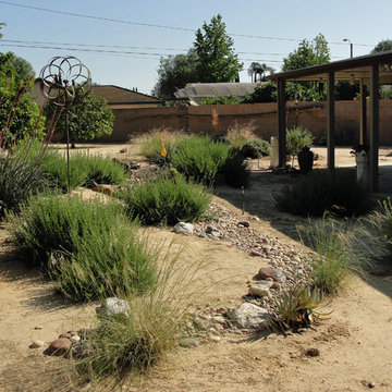 Orange Garden