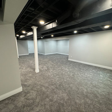 Basement Finishing With Bathroom Add-On