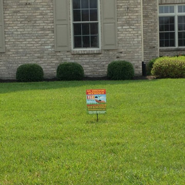 Organic-Based Lawn Fertility