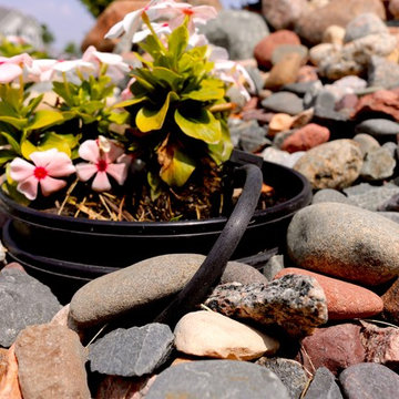 Softscape (Flowers, Flower beds and more)