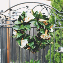 magnolia wreath