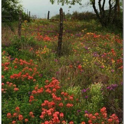 Paintbrush Pasture Outdoor Canvas Art - Home Decor