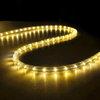 DELight 150' 2-Wire LED Rope Light Holiday Decor Indoor/Outdoor, Warm White