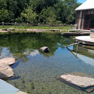 Natural Swimming Pool