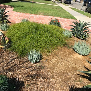 Bermed front yard