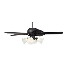 ceiling fans