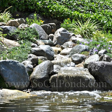 Random Pond