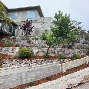Dry Stacked Napa Basalt Retaining Walls Curved