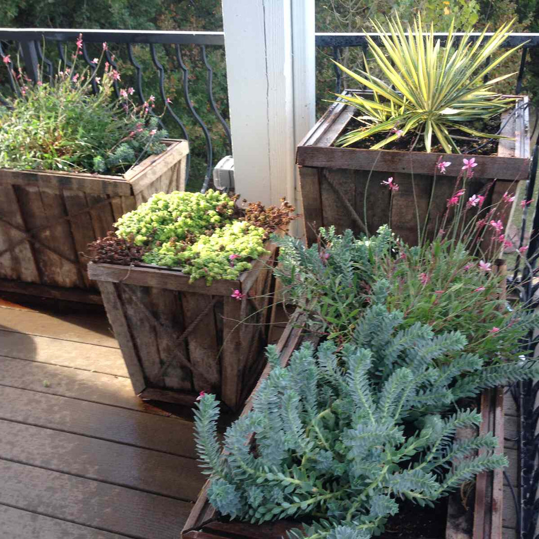 Patio Pots