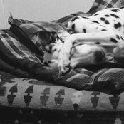 Marco Castro's photo