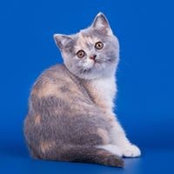 Natalya Yakuba's photo