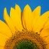 Amy's photo