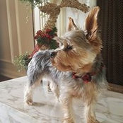 Alice Sanders's photo
