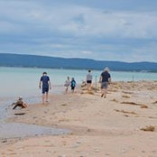 Jamie Lynch's photo