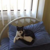 Kylie Sheedy's photo