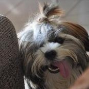 Eli Pablo's photo