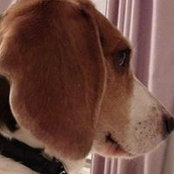 Jayne Hayes's photo