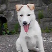Foto de 川嶋正夫
