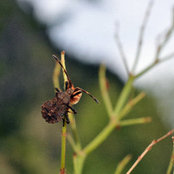 Lucia Gil Perez's photo