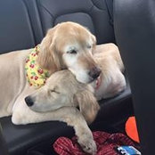Victoria Bair's photo